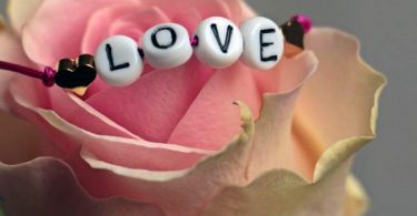 Tiendas virtuales y físicas