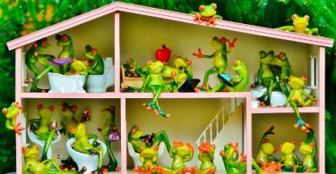 seguro para la Comunidad