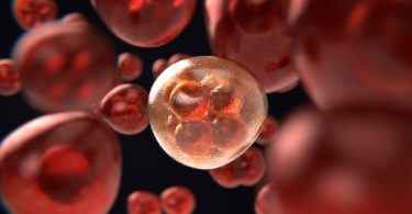 tratamientos para el cáncer