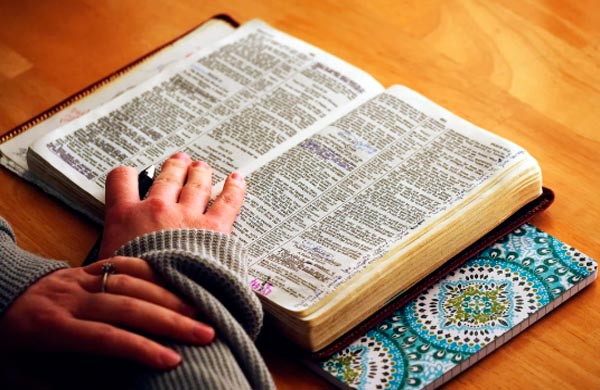 Mejora tu currículum