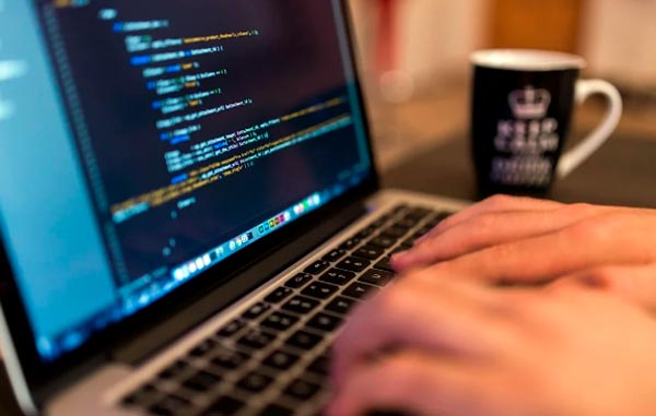 expertos en desarrollo