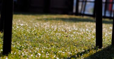 instalar césped artificial