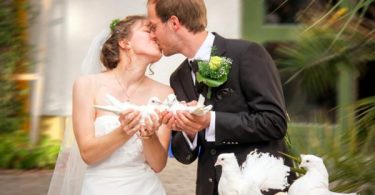 invitaciones de boda