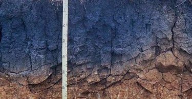 usos del vertisol