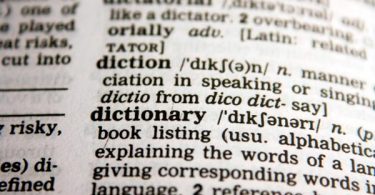 experto en traducción