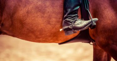 jinete y su caballo