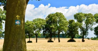 profesionales de turismo