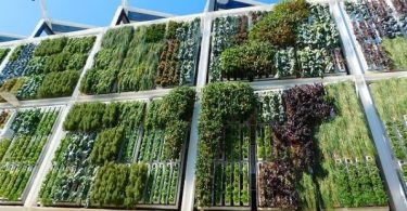 jardines verticales