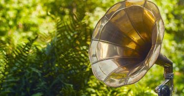 plantas prefieren la música clásica