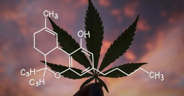 semillas de marihuana online